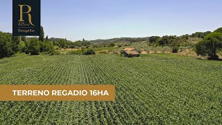 Terreno de 16 ha para venda em Torres Novas | REF. 198