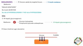 ORAL HYPOGLYCEMIC AGENTS : PART 2 : BIGUANIDES | METFORMIN