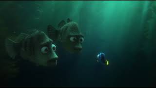 Finding Dory: - What? - Um...