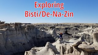 Bisti/De-Na-Zin Wilderness