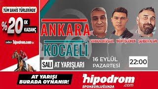 17 Eylül 2024 // Ankara - Kocaeli At Yarışı Tahminleri // Serkan Değişgel- Naim İşgören- Şahber Alan