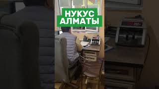 Нукус Алматы прямой рейс спальный автобус #нукус #алматы #каракалпакстан #nukus #qaraqalpaqstan