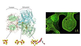 W5L1 nitrogenase structure