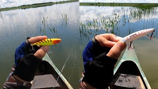 AS MELHORES ISCAS MEIA AGUA E HELICE QUE JA USEI!! Pescaria teve muito tucunare FULL VIDEO