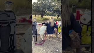 A date in the Great Sand Dunes National Park #shorts #viral #shortsfeed #couplegoals #coupleshorts