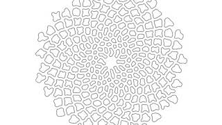 Circles arranged with phyllotaxis - differential growth (2D)