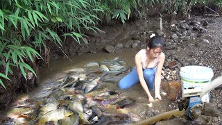 Survival Skills: Exciting fishing, Use a Pump To Suck Water Out Of The Lake, Harvest Many Big Fish