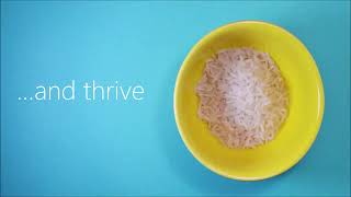 Time to Adapt and Thrive Webinar Invitation #1