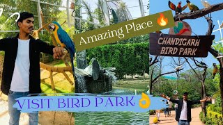 Chandigarh Bird 🐦 Park /Amazing Place Visit With Special Frnds ❤️#chandigarh #birdpark #firstvlog