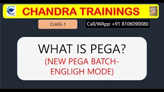 DEMO-1 What is PEGA||New Batch- OCt 16,2024||NEW PMP OCT 19 2024||8106090080 #pega