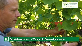 Bezirksbesuch Imst - Das Weingut in der Brauereigemeinde