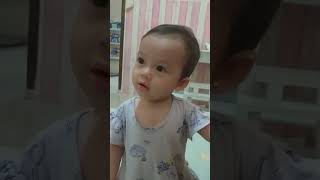 Shafeeyah#cucu #kesayangan #anaksholeha #indonesia #kidsvideo #masyaallahtabarakallah