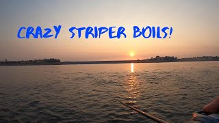 Crazy Striper Boils Hogan Lake 2020