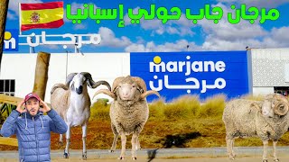 وصول الحولي الإسباني المارينوس 😱  لمرجان وها ثمن شحال داير عنداكم تصيدو وتا صردي وبركي كين