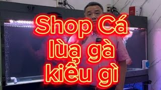 Shop Cá Lùa Gà Như Thế Nào Thời @