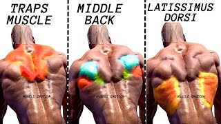 TOP 4 LAT MIDDLE BACK TRAPS WORKOUT WITH DUMBBELLS  CABLE AND MACHINE  AT GYM