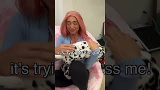 I Suprised My Puppy Dalmation Pet Blindfolded @StokesTwins #shorts