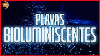 ¿PLAYAS con BIOLUMINISCENCIA🌟? ¿QUÉ es la BIOLUMINISCENCIA en el MAR🌟?