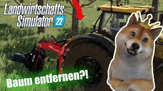 LS22 Wie Bäume entfernen? | Bäume komplett entfernen | LS22 Tutorial