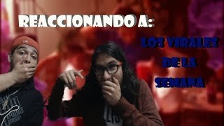 reaccionando a los videos mas virales de la semana