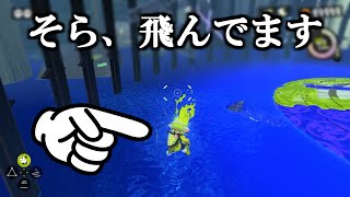 バグ技をしていたら、とんでもない勘違いでこうなりました【スプラトゥーン3】 スプラ小ネタ