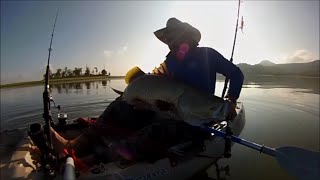 BARRAMUNDI KAYAK FISHING Lake Kinchant