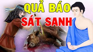 Làm Nghề Thất Đức SÁT SANH Chịu Báo Ứng - Nhân Quả Báo Ứng | Phật Pháp Nhiệm Màu #new