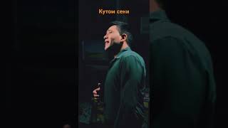 Кутом сени