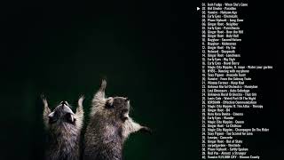 A Funky Alt/Indie Playlist with a picture of racoons