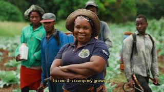 TechnoServe: Celebrating Mozambican Women in Agriculture