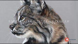 Learn to draw a bobcat/lynx - tutorial preview #beginnerartists #pastelpencils #patreon #softpastels