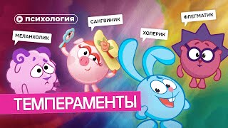 Темпераменты: как найти подход к каждому?