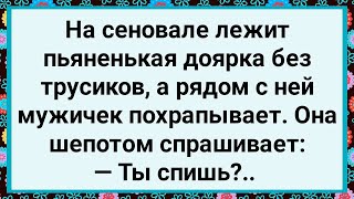 Как Доярка на Сеновале с Мужичком Лежала! Большой Сборник Свежих Смешных Жизненных Анекдотов!