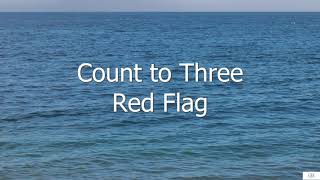 Count to Three - Red Flag (Subtitulada en Inglés y en Español)