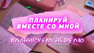 Как планировать свою жизнь? Оформление ежедневника│ Система планирования │ Plan with me │ Ежедневник