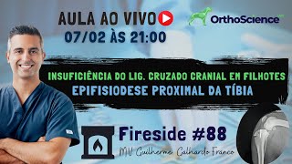 Fireside 88 - Insuficiência do Lig. Cruzado Cranial em Filhotes