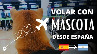 🐾 VIAJAR A ARGENTINA CON MASCOTA DESDE EUROPA 🌎✈️