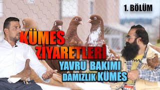 KÜMES ZİYARETLERİ - DAMIZLIK KÜMES VE YAVRU BAKIMI (MEHMET TÜRK)