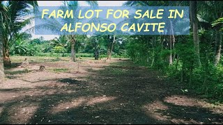 #27 HOLD - FARM LOTS for Sale in Cavite Philippines