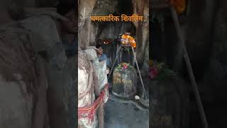 चमत्कारी शिवलिंग : पीपल के पेड़ के बीचोबीच स्थित। Chamatkari Shivling Veerabhadra Temple Rishikesh।