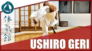 HOW TO: USHIRO GERI | Shōtōkan Karate Kick by Fiore Tartaglia