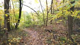 Herring Run Trail October 29, 2023