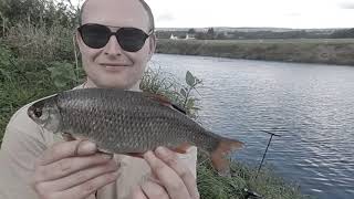 River Ribble Fishing Diaries Day.9 Beauty in Miniature