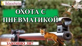 Охота с пневматикой! Законно ли? Videoohota