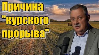 Дмитрий Евстафьев. Причина "курского прорыва"