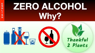 I have ZERO Alcohol - Why?