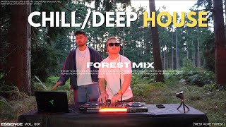 CHILLOUT Sunset Deep House Mix in the Forest (Lane 8, Ben Böhmer, Nils Hoffman)| Essence Vol. 001