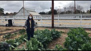 Garden Update (12/21) with Farmer Caitlin