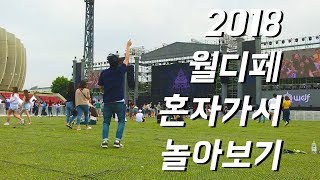 30대 아재가 혼자 다녀온 월디페 (2018 월드 디제이 페스티벌)