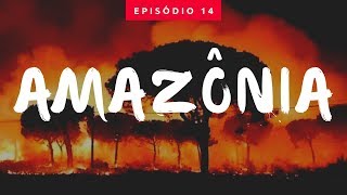 Amazônia: o que dizem os dados?